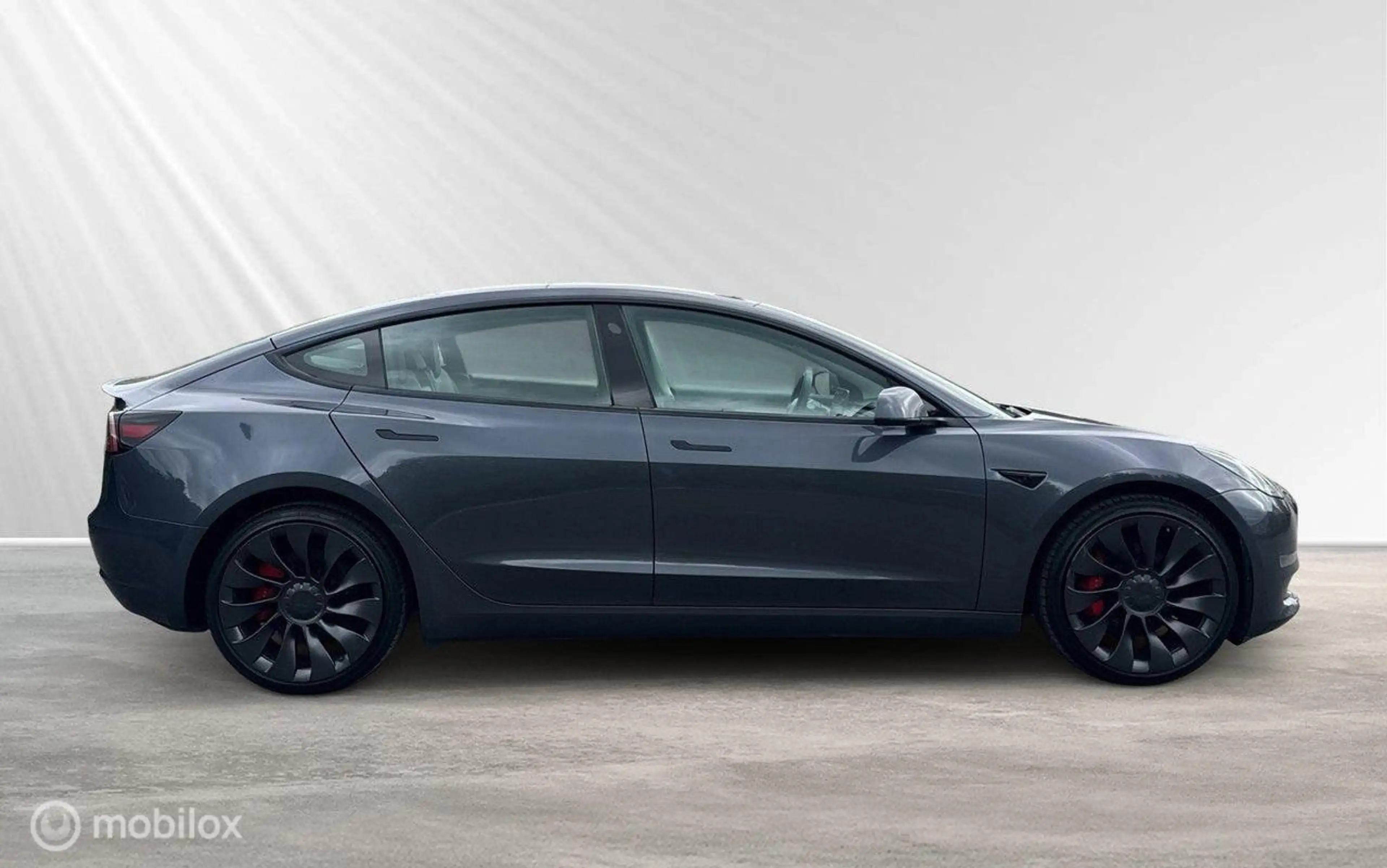 Tesla Model 3 Performance AWD 75 kWh — photo 7
