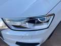 Audi Q3 2.0 TDI 150CV QUATTRO S TRONIC|DISTRIBUZIONE NUOVA Blanc - thumbnail 37