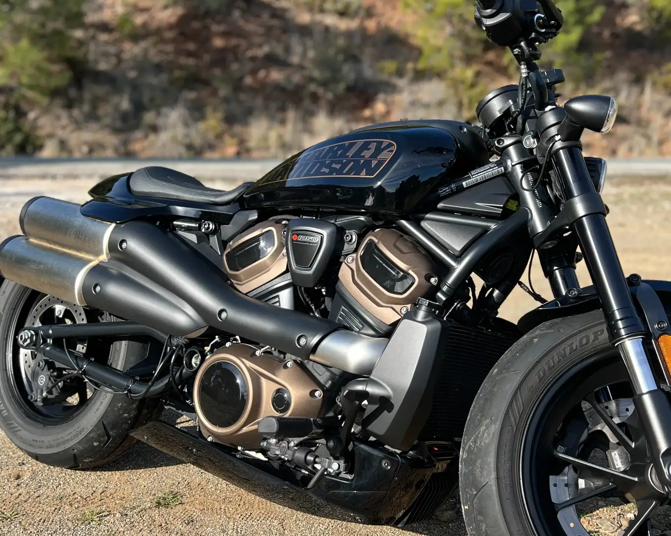 Harley-Davidson Sportster S Negro - 2
