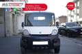 Bellier Asso Asso Pick up Bianco - thumbnail 9