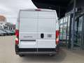 Fiat Ducato 33 L2H2 BlueHDi 140 !€25.733 NETTO!AKTIO... Weiß - thumbnail 9