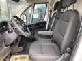 Fiat Ducato 33 L2H2 BlueHDi 140 !€25.733 NETTO!AKTIO... Weiß - thumbnail 4