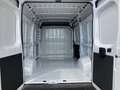 Fiat Ducato 33 L2H2 BlueHDi 140 !€25.733 NETTO!AKTIO... Weiß - thumbnail 7