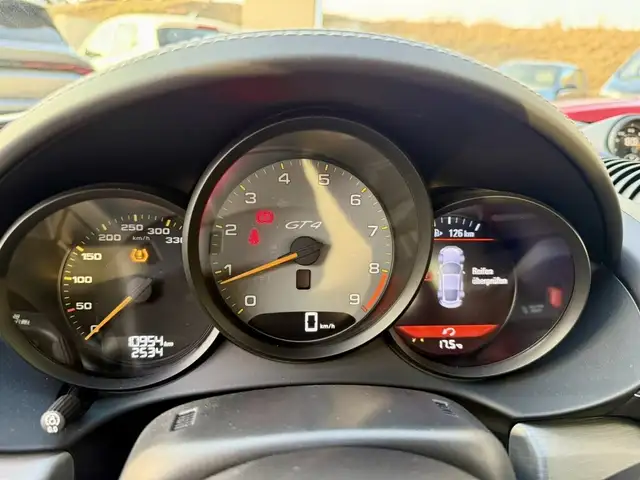 Porsche Cayman 718 Cayman GT4 Ansicht 13