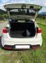 Kia Rio Rio 1,4 CRDi ISG Gold Gold Weiß - thumbnail 4