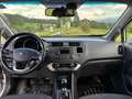 Kia Rio Rio 1,4 CRDi ISG Gold Gold Weiß - thumbnail 6