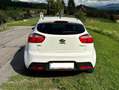 Kia Rio Rio 1,4 CRDi ISG Gold Gold Weiß - thumbnail 3