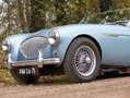 Austin Healey 100/4 (BN1) with Le Mans Conversion kit Azul - thumbnail 23