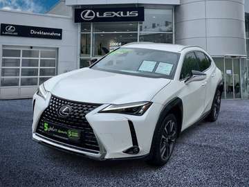 UX 250 h Style Edition guter Crossover