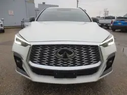Infiniti QX55 2023
