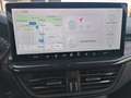 Ford Focus SW 1.0t ecoboost h ST-Line 125cv Blau - thumbnail 13