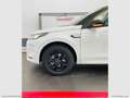 Land Rover Discovery Sport 1.5 I3 PHEV 300 R-Dyn.SE Blanc - thumbnail 8