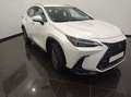 Lexus NX 350h Business City 4WD Blanc - thumbnail 2