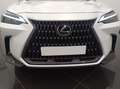 Lexus NX 350h Business City 4WD Blanc - thumbnail 7