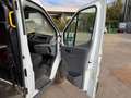Ford Transit trend Weiß - thumbnail 6