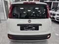 Fiat New Panda Bianco - thumbnail 5