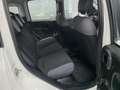 Fiat New Panda Bianco - thumbnail 9