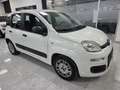 Fiat New Panda Bianco - thumbnail 1