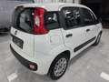 Fiat New Panda Bianco - thumbnail 4