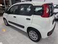 Fiat New Panda Bianco - thumbnail 6