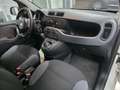 Fiat New Panda Bianco - thumbnail 11