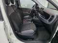 Fiat New Panda Bianco - thumbnail 10