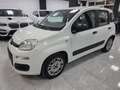 Fiat New Panda Bianco - thumbnail 3