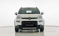 Fiat Panda 1.3 MJT 95 CV S&S 4x4 Bianco - thumbnail 2