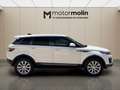 Land Rover Range Rover Evoque Land  2.0L eD4 Diesel 110kW (150CV) 4x2 SE Blanco - thumbnail 4