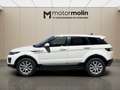 Land Rover Range Rover Evoque Land  2.0L eD4 Diesel 110kW (150CV) 4x2 SE Blanco - thumbnail 8