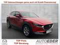Mazda CX-30 G122 Comfort+/ST Aut. Rot - thumbnail 1