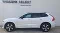 Volvo XC60 XC60 t6 phev Plus Dark awd auto Weiß - thumbnail 2