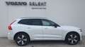 Volvo XC60 XC60 t6 phev Plus Dark awd auto Weiß - thumbnail 4