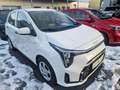 Kia Picanto 1,0 GDI Titan 4 Stz. Weiß - thumbnail 4