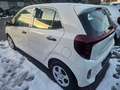 Kia Picanto 1,0 GDI Titan 4 Stz. Weiß - thumbnail 3