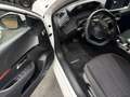 Peugeot 208 e- Elektro Active Pack SHZ+PDC+Alu+CarPlay Blanc - thumbnail 6