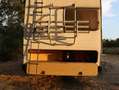 Caravans-Wohnm Elnagh Magnum 600 Weiß - thumbnail 11