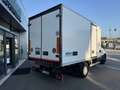 Iveco Daily 60C15FrigoFNAX-20°CATP12 274000x2105x1900kg2560 Bianco - thumbnail 5