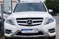 Mercedes-Benz GLK 350 CDI BE 4Matic 7G-Tronic AMG-Line +Pano+ Bianco - thumbnail 2