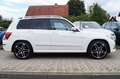 Mercedes-Benz GLK 350 CDI BE 4Matic 7G-Tronic AMG-Line +Pano+ Bianco - thumbnail 5