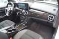 Mercedes-Benz GLK 350 CDI BE 4Matic 7G-Tronic AMG-Line +Pano+ Bianco - thumbnail 13