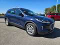 Ford Kuga 1.5 ecoblue Bus. TITANIUM  120cv Auto N1 - GG236BB Blau - thumbnail 2