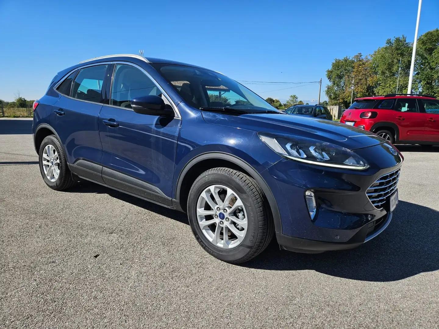 Ford Kuga 1.5 ecoblue Bus. TITANIUM  120cv Auto N1 - GG236BB Blau - 2