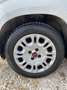 Fiat New Panda Panda 1.2 Benz/Gpl Lounge easypower Ok Neop. Bianco - thumbnail 14