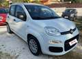 Fiat New Panda Panda 1.2 Benz/Gpl Lounge easypower Ok Neop. Bianco - thumbnail 6