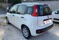 Fiat New Panda Panda 1.2 Benz/Gpl Lounge easypower Ok Neop. Bianco - thumbnail 3