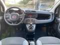 Fiat New Panda Panda 1.2 Benz/Gpl Lounge easypower Ok Neop. Bianco - thumbnail 7