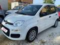 Fiat New Panda Panda 1.2 Benz/Gpl Lounge easypower Ok Neop. Bianco - thumbnail 1
