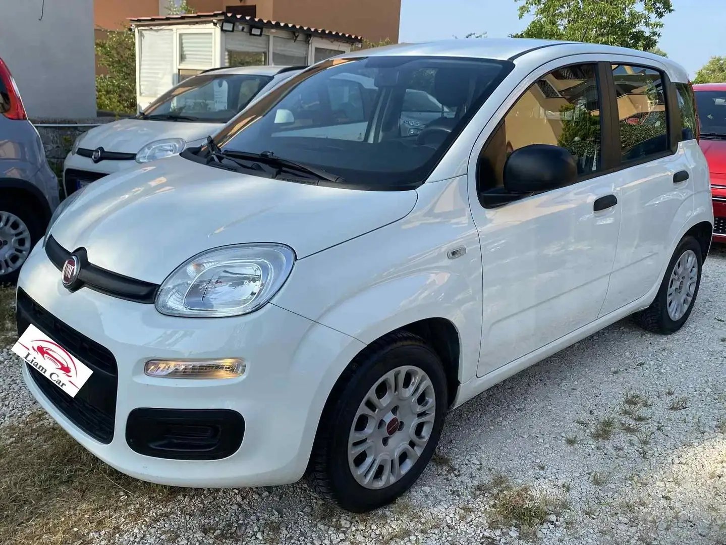 Fiat New Panda Panda 1.2 Benz/Gpl Lounge easypower Ok Neop. Blanc - 1