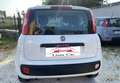 Fiat New Panda Panda 1.2 Benz/Gpl Lounge easypower Ok Neop. Bianco - thumbnail 4